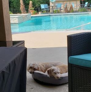 Meet your Posher, Mary